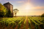 Chateau de Gevrey 9190-c.jpg